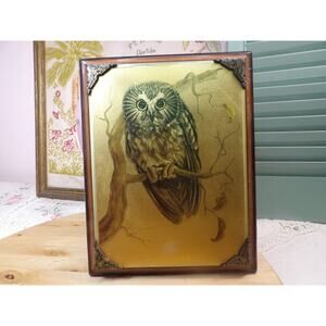 Vintage MCM Signed C Haas Owl Etched Metal Art